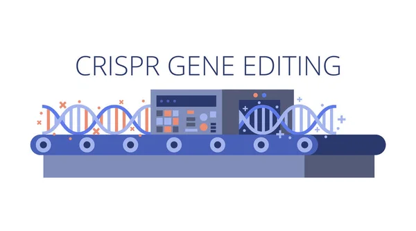 CRISPR gen düzenleme konsept vektör çizimi. Genom modifikasyonu için gevrek genetik mühendislik tekniği, gen terapisi, onarım, onarım. Montaj hattındaki düz DNA molekülü beyaz arkaplanda izole edildi