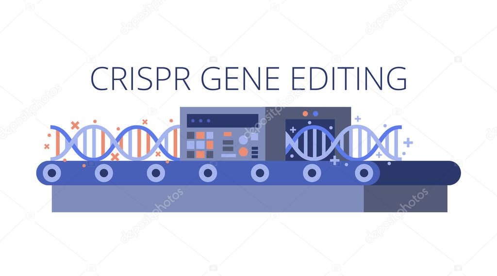 CRISPR gene editing concept vector illustration. Crisper genetic engineering technique for genome modifying, gene therapy, repair, fix. Flat DNA molecule on assembly line isolated on white background