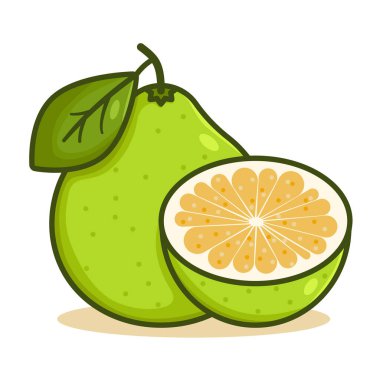 Yaprak rengi vektör resimli Pomelo meyvesi. Beyaz arka planda izole edilmiş narenciyenin ana hatları. Çizgi film egzotik yemek tasarımı, renkli düz tasarım.