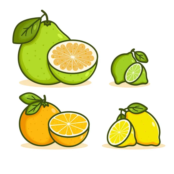 Meyve vektör çizimi seti. Pomelo, portakal, limon ve limon koleksiyonu. Yaprak ve yarım dilimli çizgi film turunçgilleri, tropikal meyvenin ana renk ikonu. Nesne grubu