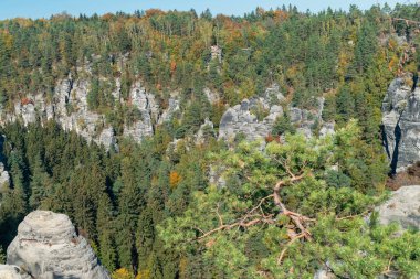 Almanya 'da sonbaharda yüksek mevsimlerden kayalar ve kozalaklı ormanlar