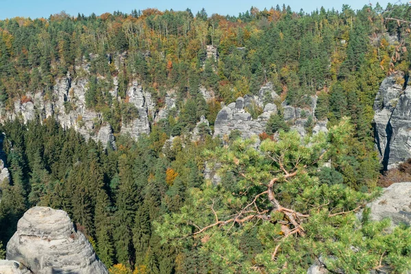 Rocce Foreste Conifere Autunno Germania Dall Alto — Foto Stock