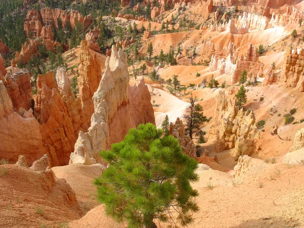Bryce canyon, ABD
