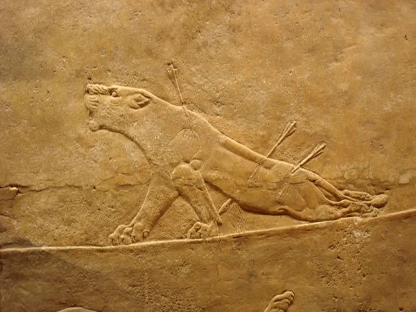 Britisches Museum, die verwundete Löwin, London Stockbild