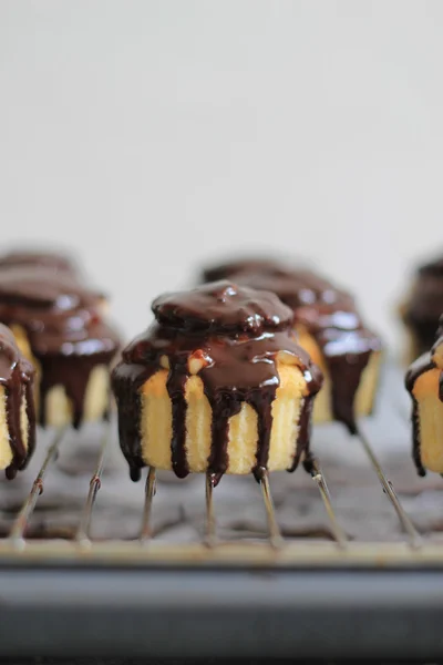 Boston kremalı pasta cupcake