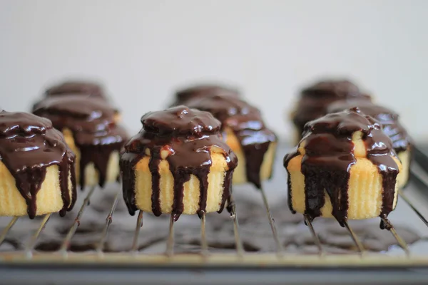 Boston kremalı pasta cupcake