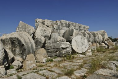 Didyma apollon Tapınağı