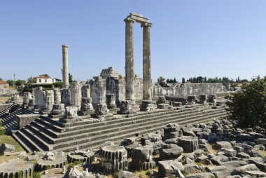 Didyma apollon Tapınağı