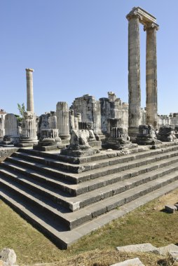 Didyma apollon Tapınağı