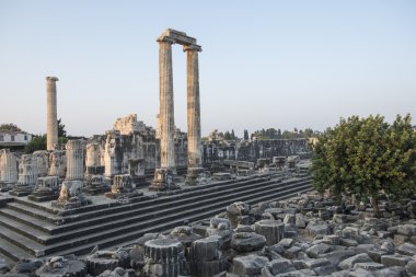 Apollon Tapınağı