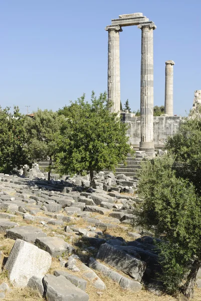 Templo Didyma Apollon — Foto de Stock