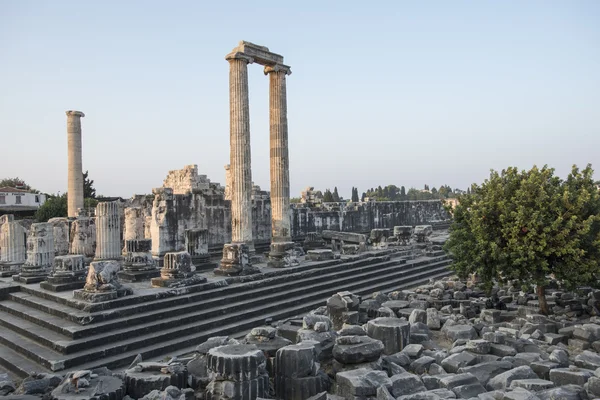 Tempio di Apollo — Foto Stock