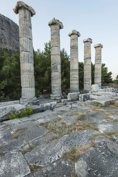 Columnas de Priene — Foto de Stock