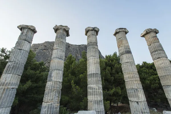 Priene sütunlar — Stok fotoğraf