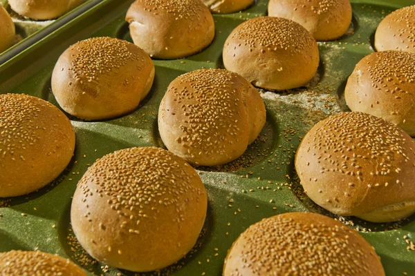 Bollos de hamburguesa —  Fotos de Stock