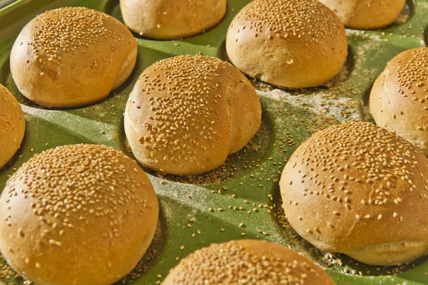 Bollos de hamburguesa —  Fotos de Stock