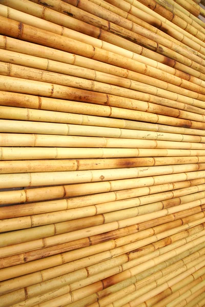 Bamboo fence texture — Stock Photo, Image