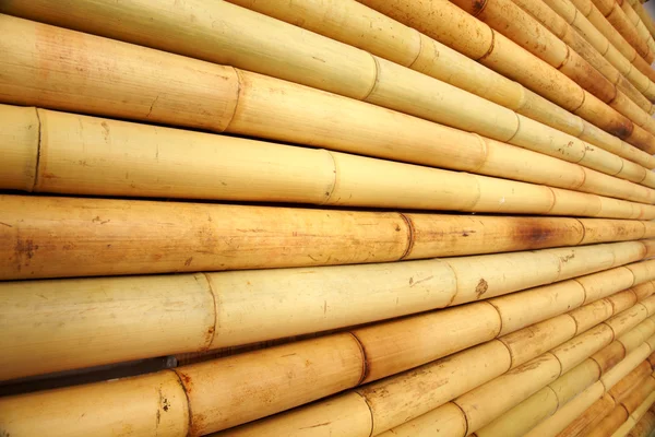 Bambu staket konsistens — Stockfoto