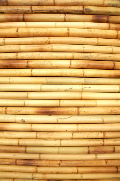 竹のフェンスのテクスチャ — ストック写真