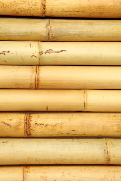 Bambu çit doku — Stok fotoğraf