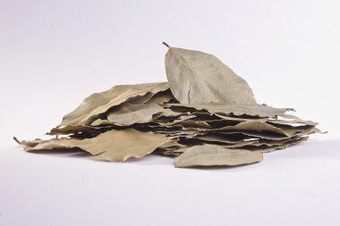 rezene tohum baharat 