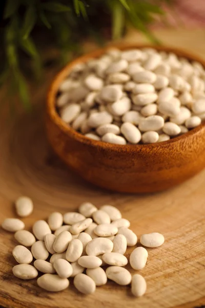 Haricot bean — Stock Photo, Image