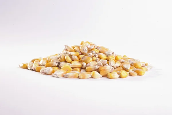 Grano: Alimentar la pila de maíz — Foto de Stock