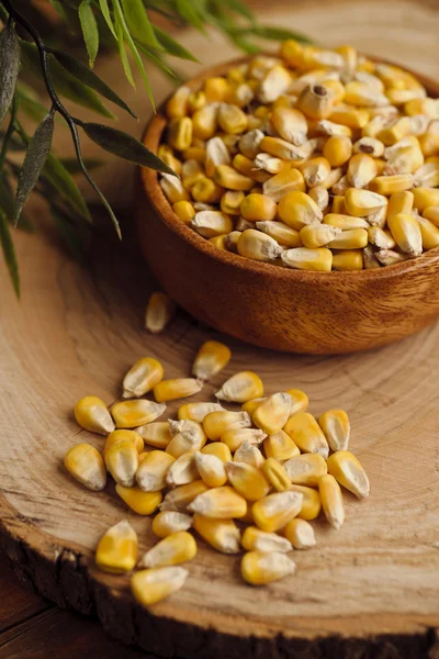 Grain: Feed Corn Pile — Stock Photo, Image