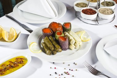 dolma dolma
