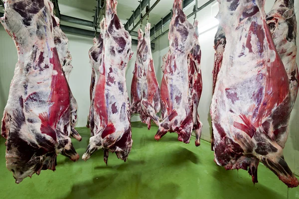 Abattoir — Photo