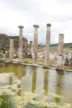 magnesia kalıntıları