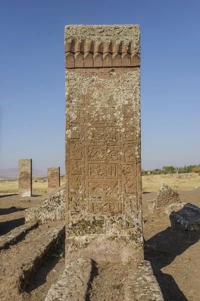 Tombstones of seljuks in Ahlat turkey — Stock Photo, Image