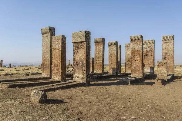 Tombstones of seljuks in Ahlat turkey — Stock Photo, Image