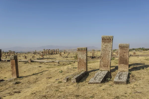 Tombstones of seljuks in Ahlat turkey — Stock Photo, Image