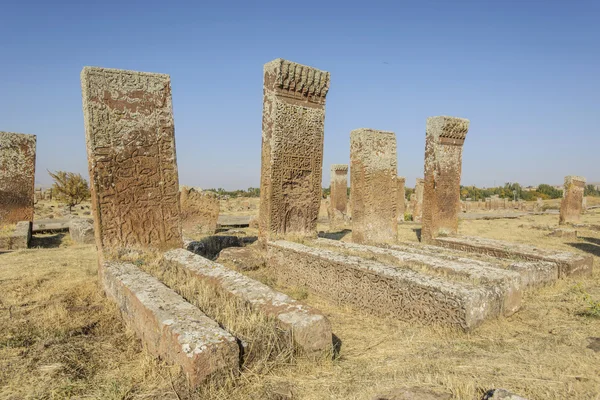 Tombstones of seljuks in Ahlat turkey — Stock Photo, Image