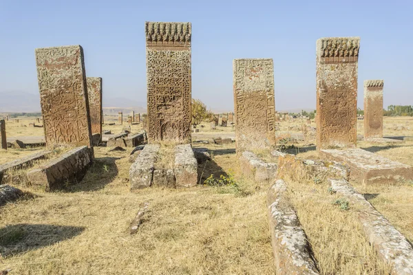 Tombstones of seljuks in Ahlat turkey — Stock Photo, Image