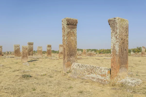 Tombstones of seljuks in Ahlat turkey — Stock Photo, Image