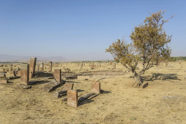 Tombstones of seljuks in Ahlat turkey — Stock Photo, Image