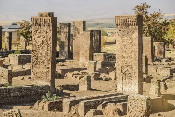 Tombstones of seljuks in Ahlat turkey — Stock Photo, Image