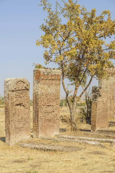 Tombstones of seljuks in Ahlat turkey — Stock Photo, Image