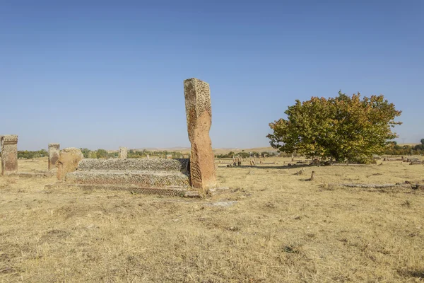 Tombstones of seljuks in Ahlat turkey Royalty Free Stock Images