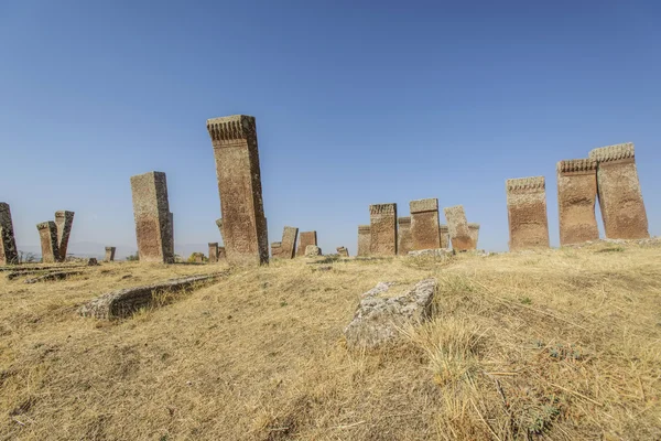 塞尔柱人在 ahlat 土耳其的墓碑 — 图库照片