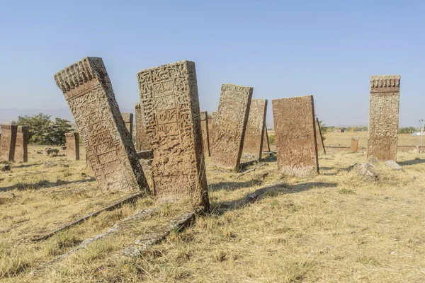 Tombstones of seljuks in Ahlat turkey — Stock Photo, Image