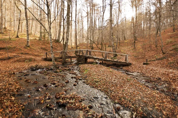 Banco en el bosque —  Fotos de Stock