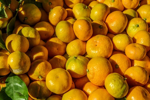 Naranjas de mandarina —  Fotos de Stock