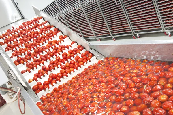 干的西红柿 — 图库照片