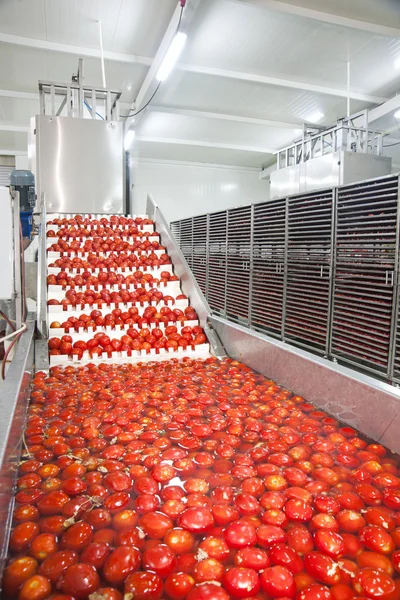 Dried tomatoes — Stock Photo, Image