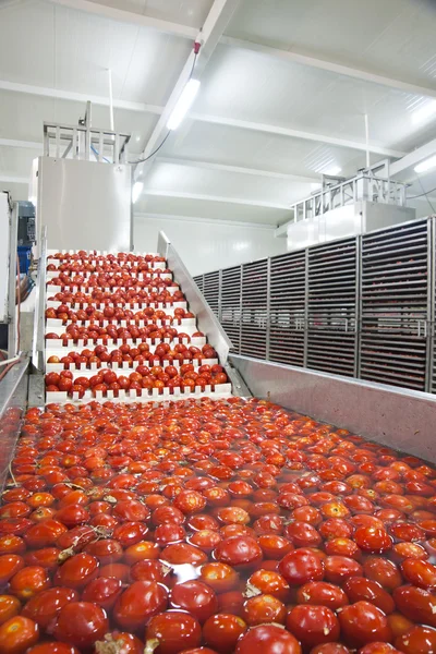 Dried tomatoes — Stock Photo, Image