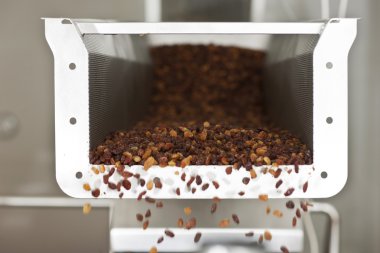 raisins in raisin production factory packaging clipart