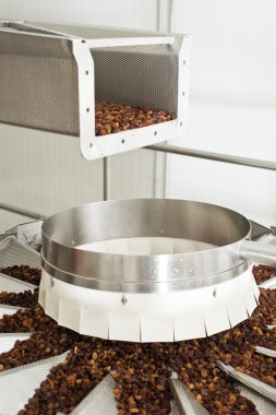 Kuru üzüm kuru üzüm üretim fabrikası ambalajında